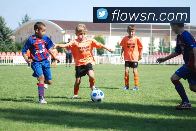 App Interface Preview